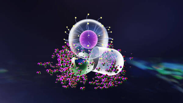 <b>HR-Pack 01包装系列</b>